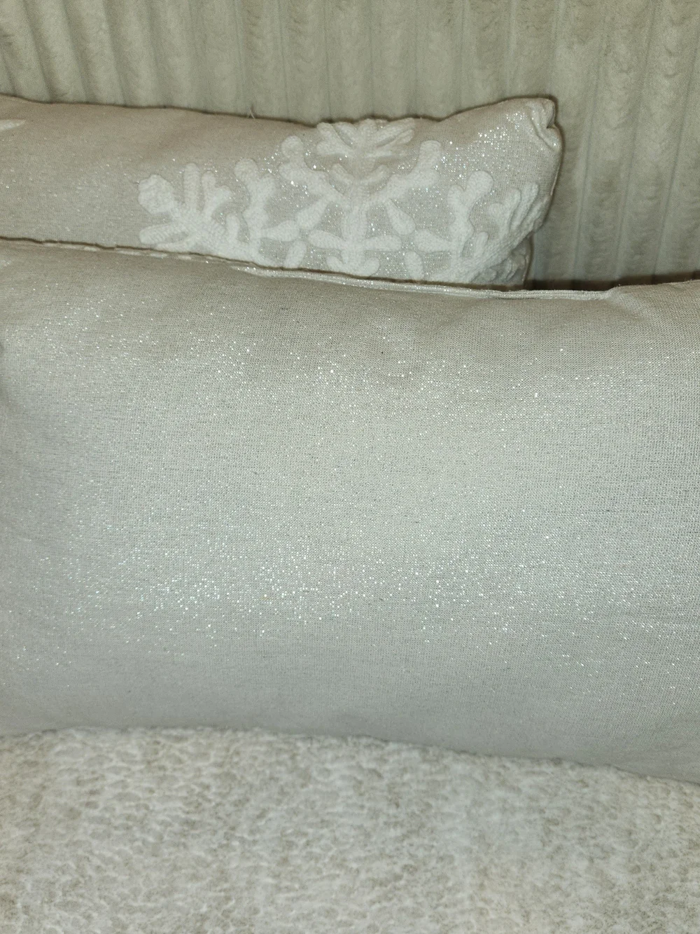 ❄️ Cream Embroidered Throw Pillow ❄️